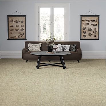 Phenix Patterned Carpet