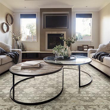Fabrica Transitional Rugs